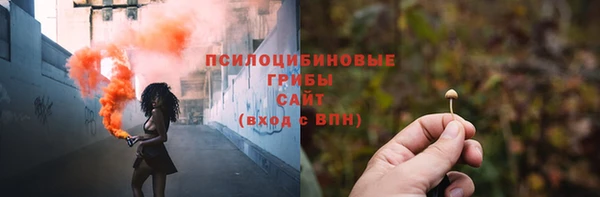 скорость Белокуриха
