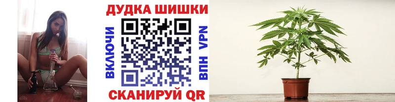гидра   Верхотурье  Бошки марихуана Amnesia 